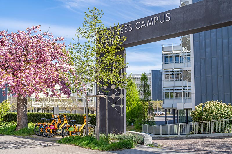 Mainz-HSS